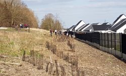 Plantations Cavalier   019